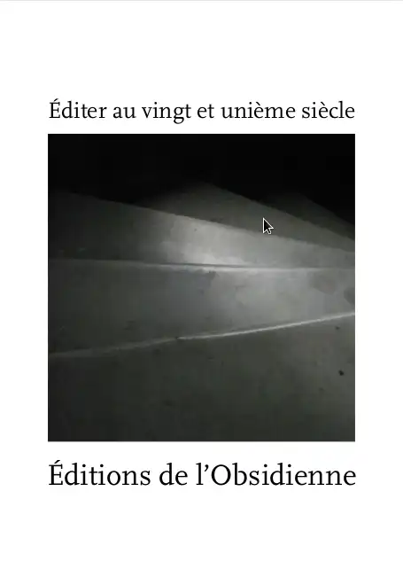 Soutenir les éditions de l'Obsidienne : éditer au vingt et unième siècle (PDF)